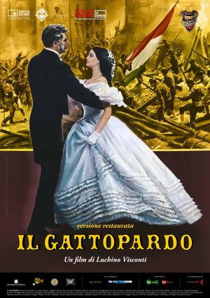 The Leopard's poster