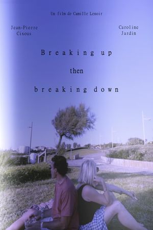 Breaking up then breaking down's poster