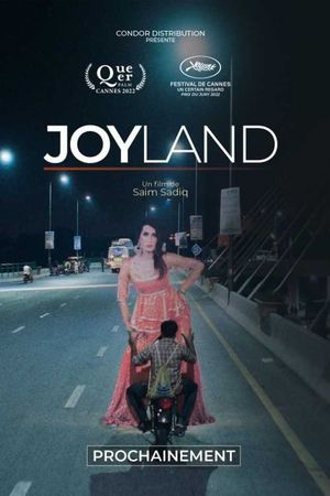 Joyland's poster