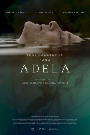 Instrucciones para Adela's poster