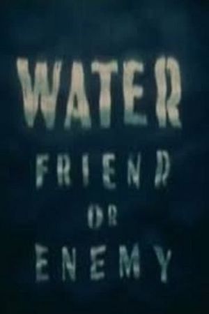Water: Friend or Enemy's poster