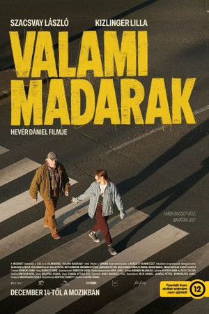 Valami madarak's poster