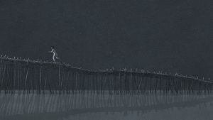 The Red Turtle's poster
