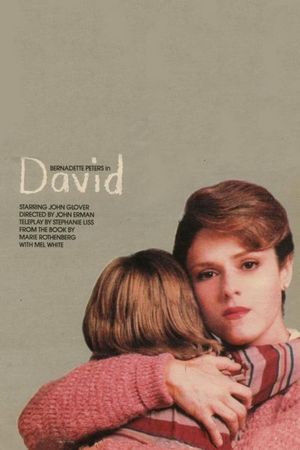 David's poster