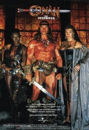 Conan the Destroyer's poster