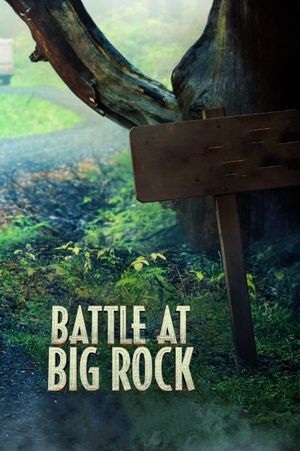 Battle at Big Rock's poster