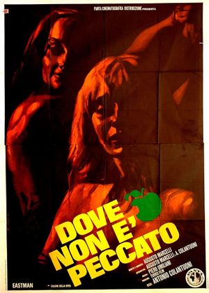 Dove non è peccato's poster