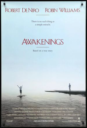 Awakenings's poster