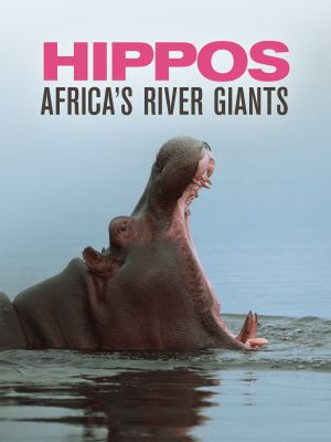 Hippos: Africa's River Giants's poster