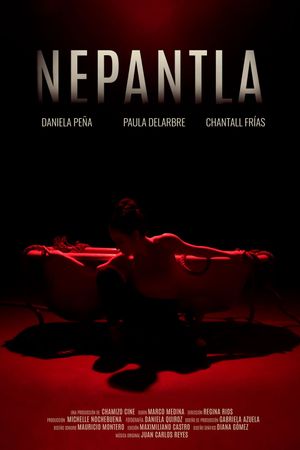 Nepantla's poster