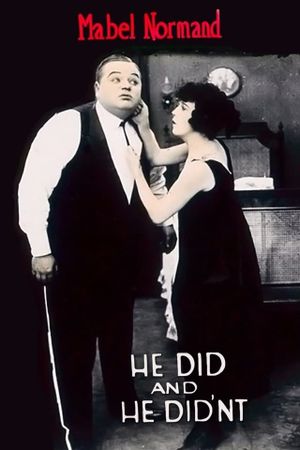 He Did and He Didn’t's poster
