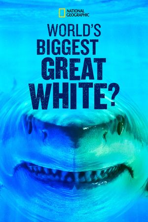 World's Biggest Great White?'s poster