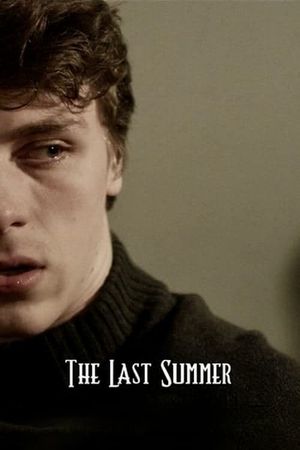 The Last Summer's poster