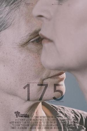 175's poster image