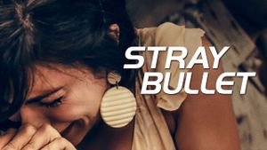 Stray Bullet's poster
