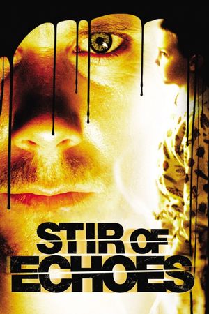 Stir of Echoes's poster
