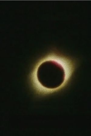 What Lit the Earth's poster image