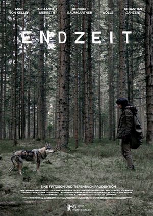 Endzeit's poster