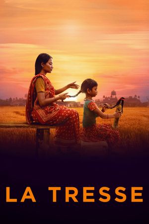 The Braid's poster