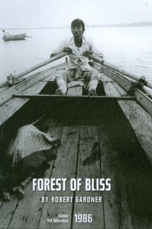 Forest of Bliss's poster