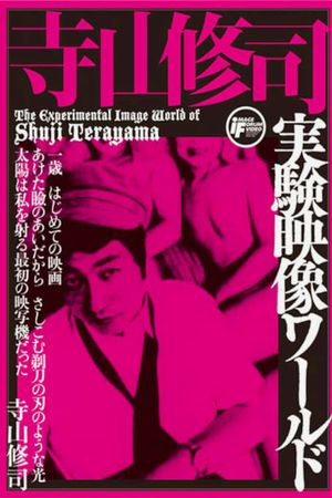 The Experimental Image World of Shuji Terayama's poster