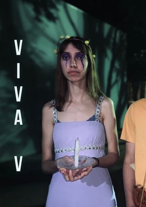 Viva V's poster