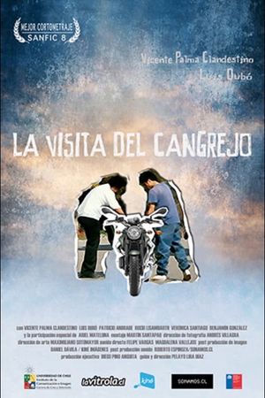 La Visita del Cangrejo's poster