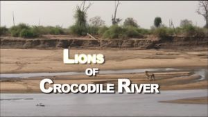 Lions of Crocodile River's poster