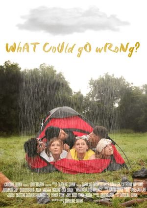 What Could Go Wrong?'s poster image