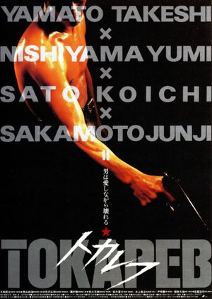 Tokarev's poster