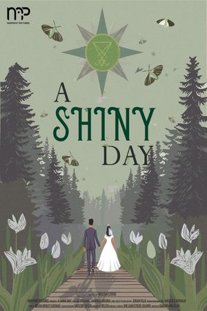 A Shiny Day's poster