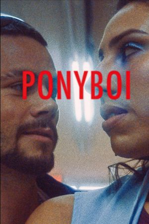 Ponyboi's poster