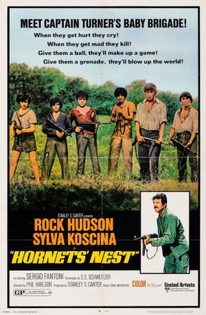 Hornets' Nest's poster