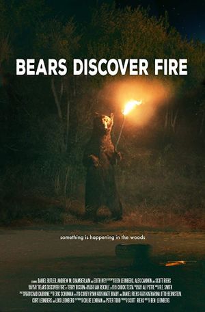 Bears Discover Fire's poster