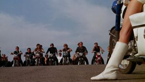 The Born Losers's poster