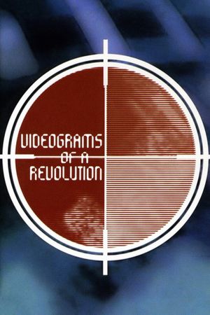 Videograms of a Revolution's poster