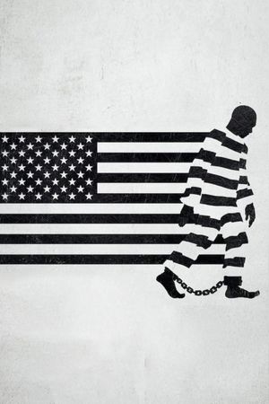 13th's poster