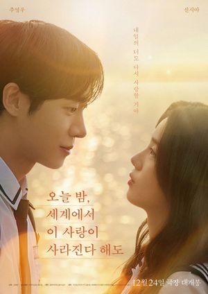 Even If This Love Disappears from the World Tonight's poster