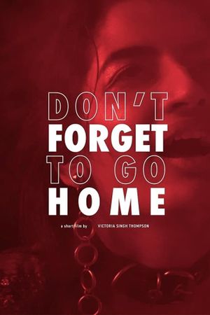 Don't Forget to Go Home's poster