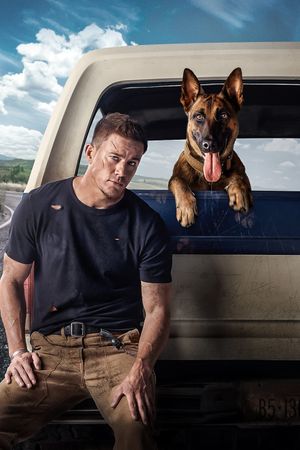 Dog's poster