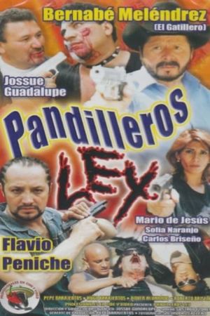 Pandilleros Ley's poster