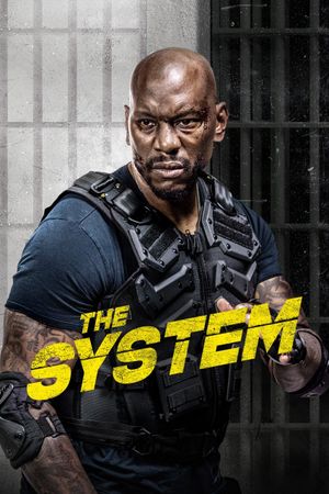 The System's poster