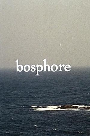Bosphore's poster