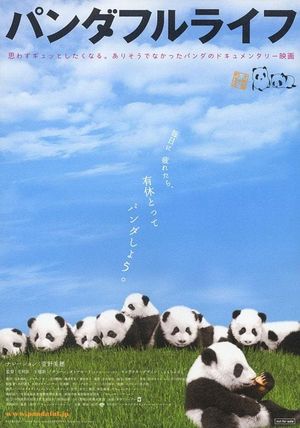 Panda Days's poster