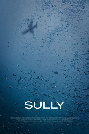 Sully's poster