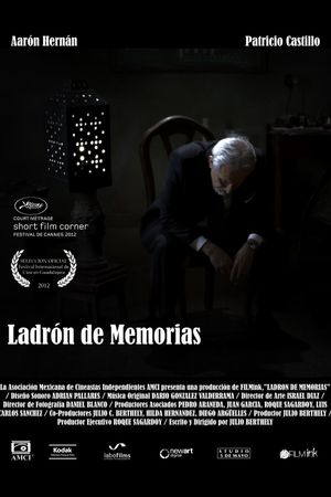 Ladrón de memorias's poster