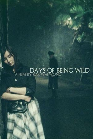 Days of Being Wild's poster