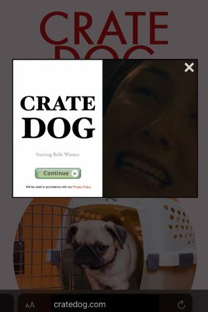 Crate Dog's poster