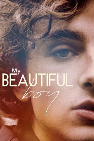 Beautiful Boy's poster