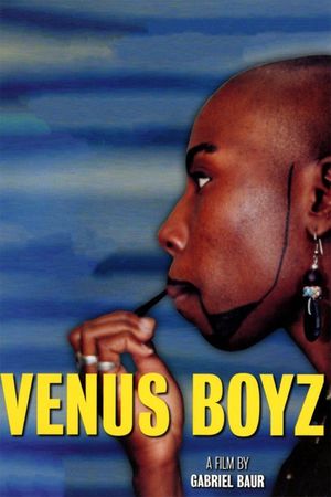 Venus Boyz's poster